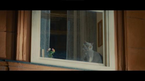 ◆YKKAP　 TVCM「窓と猫の物語」の新CMを11／28から放映